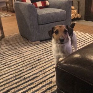 Meet your Posher, Matt